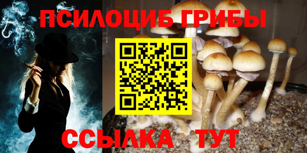 Псилоцибиновые грибы ЛСД Кувандык