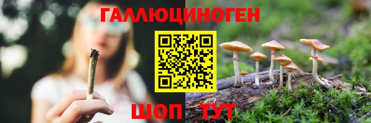 Псилоцибиновые грибы прущие грибы  Вход с VPN  Кувандык  купить   Галлюциногенные грибы мухоморы 